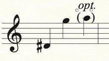 Vocal Range Indicator for Clear Shining Moment